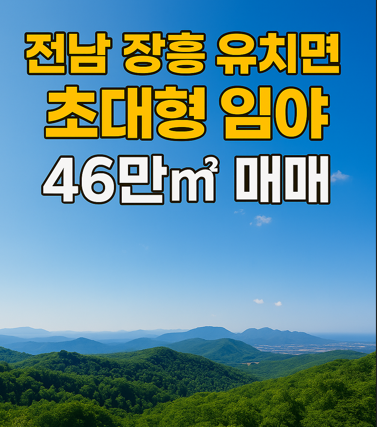  전남 장흥 유치면 초대형 임야 46만(대형임야)