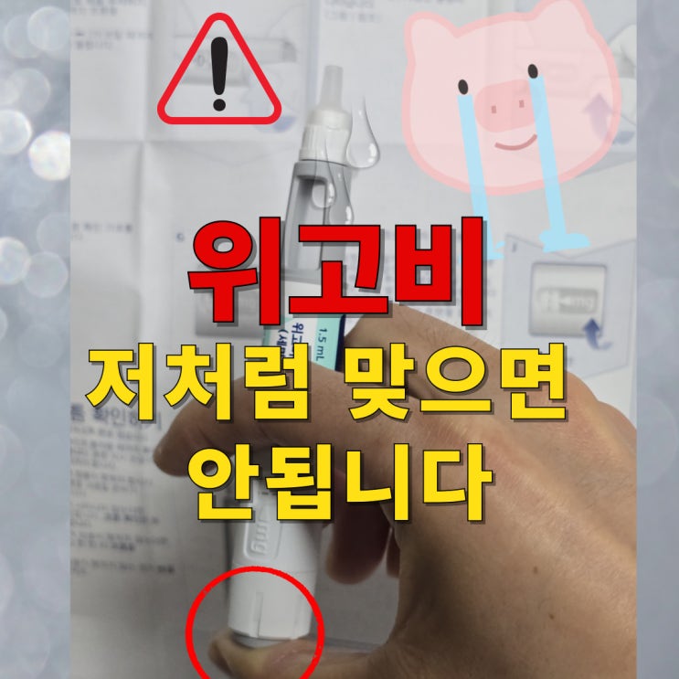  대전 위고비 내돈내산 후기 :  최저가 가격 + 부작용, 효과, 맞는법 꿀팁까지 총정리