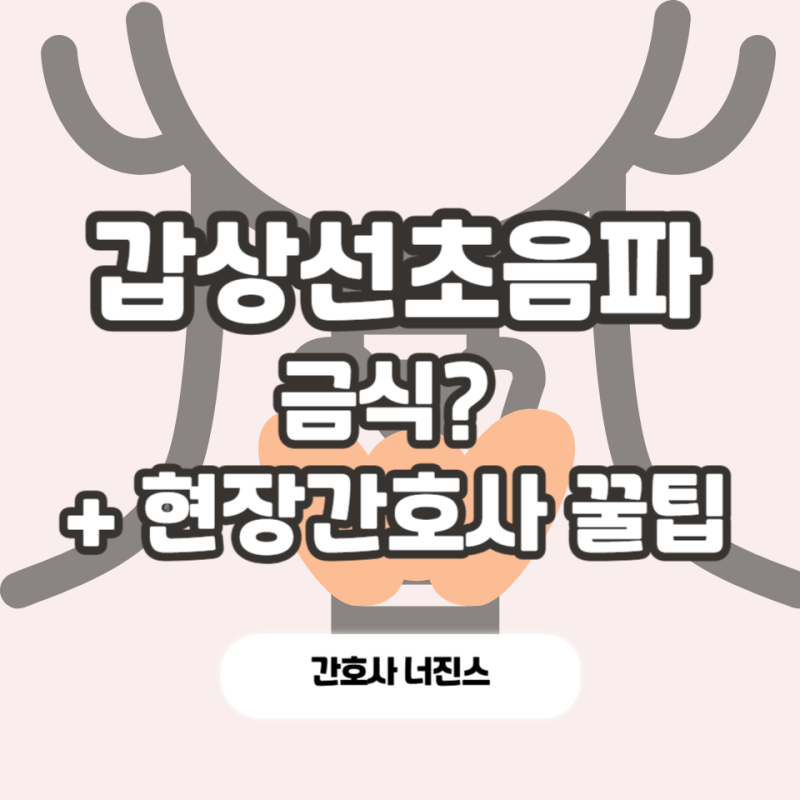 갑상선초음파 금식, 갑상선 세침검사 간호사 핵꿀팁