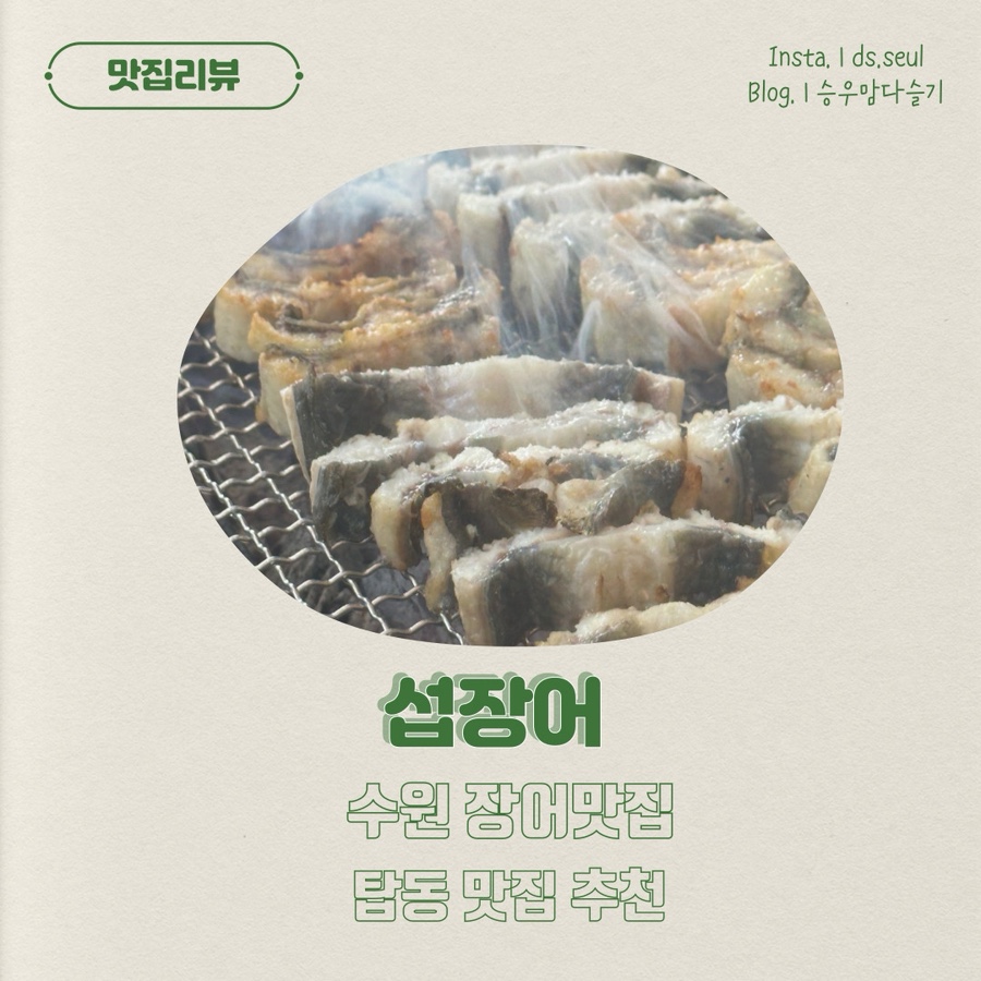 섭장어 사진 1