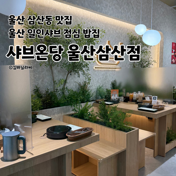  울산삼산동맛집 샤브온당 일인샤브 저속노화 샤브샤브 혼밥 밥집
