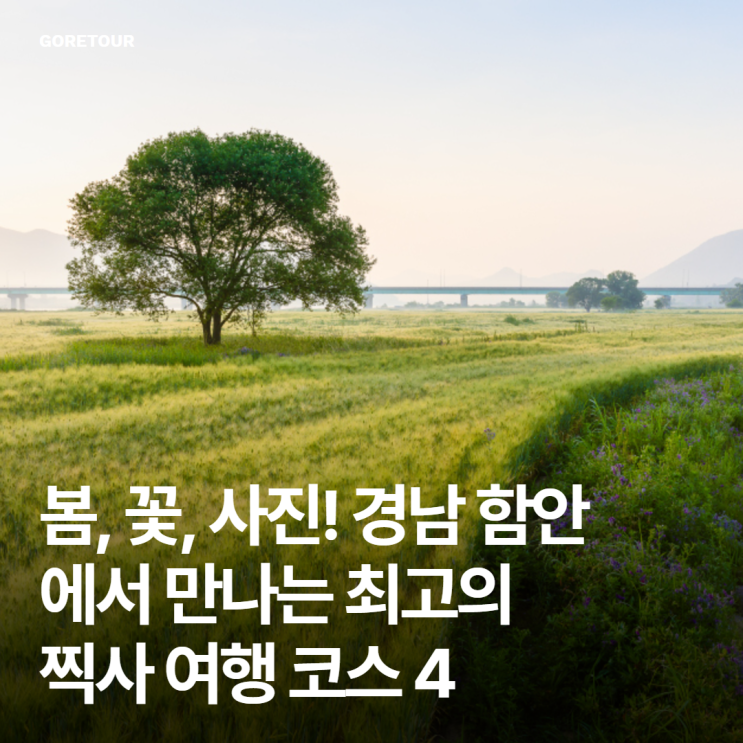  봄, 꽃, 사진! 경남 함안에서 만나는 최고의 찍사 여행 코스