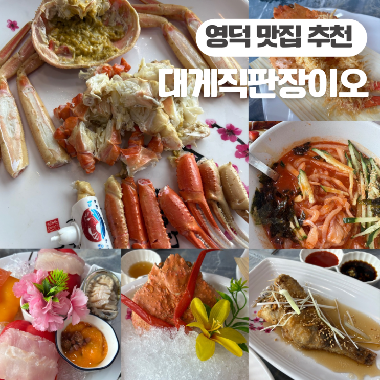  영덕대게맛집 추천 이오 강구점 다양한 대게 코스를  맛볼 수 있는 곳
