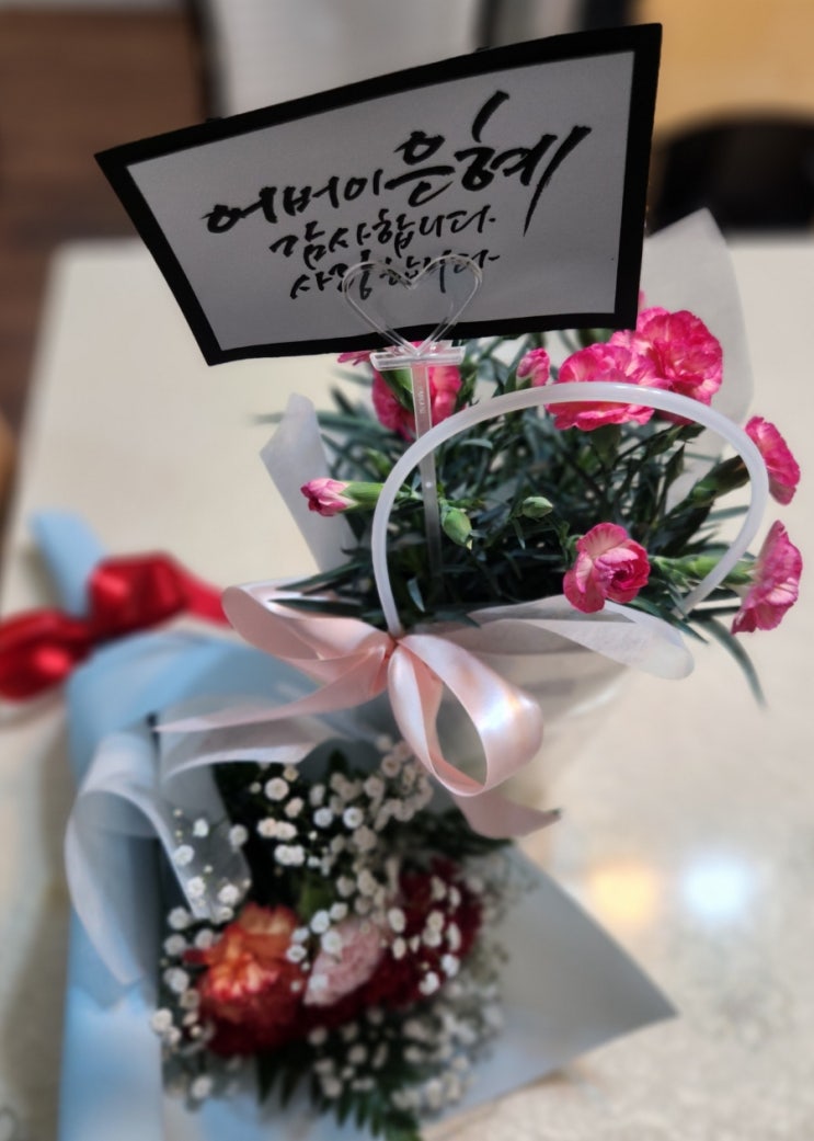  5월의 카네이션