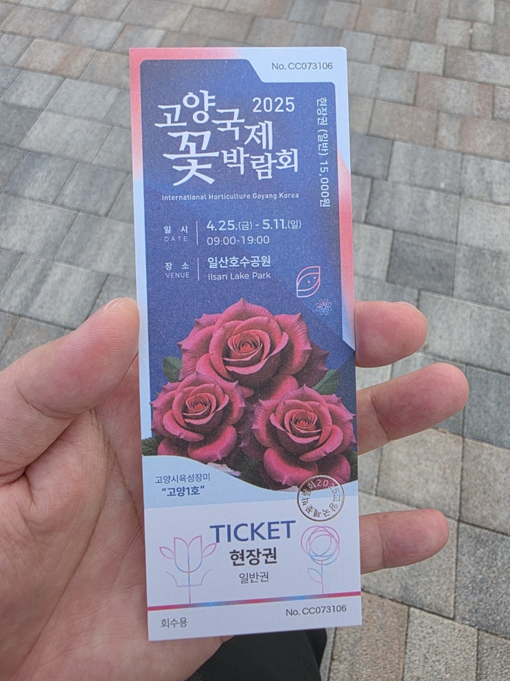  2025 고양국제꽃박람회, 혼자 다녀온 감상 후기
