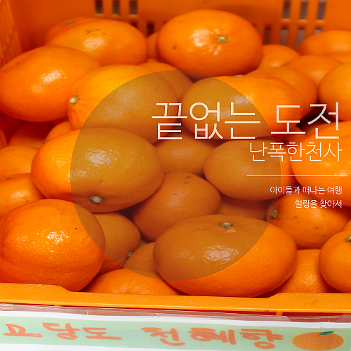 제주공항 근처 제주귤택배 무료배송하는 공항길귤창고