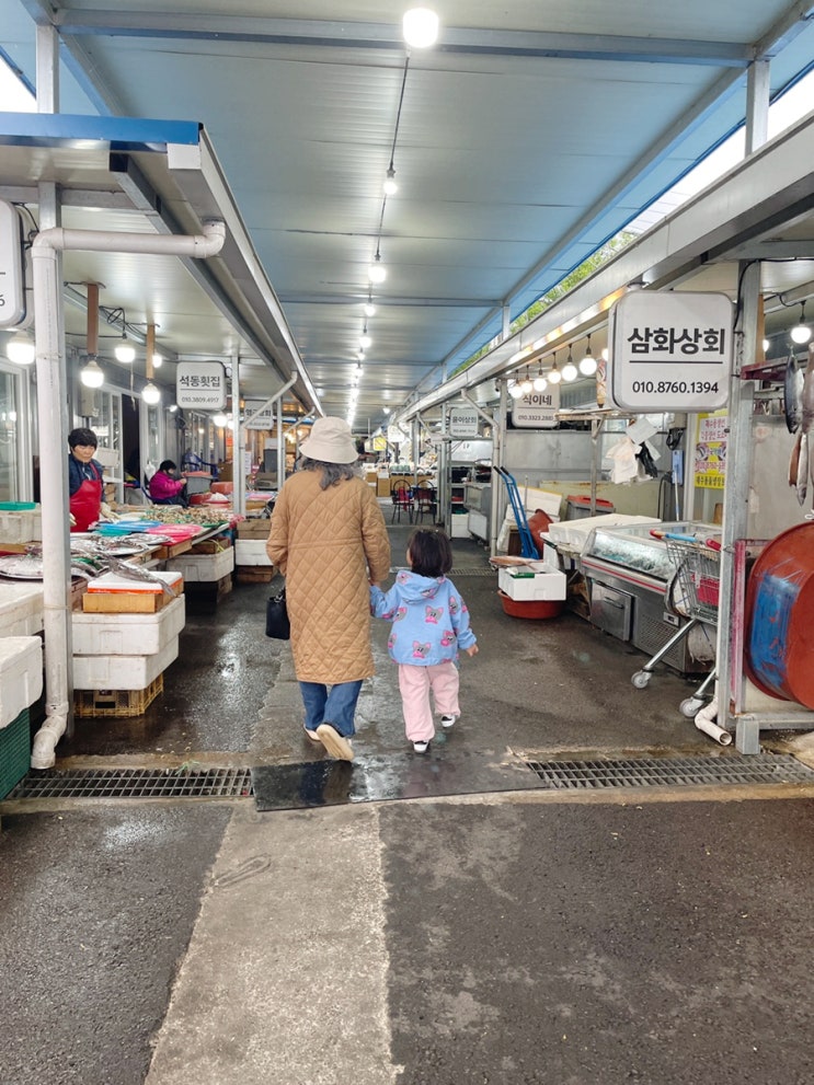  영덕 전통시장 과일은 여기서(내돈내산)