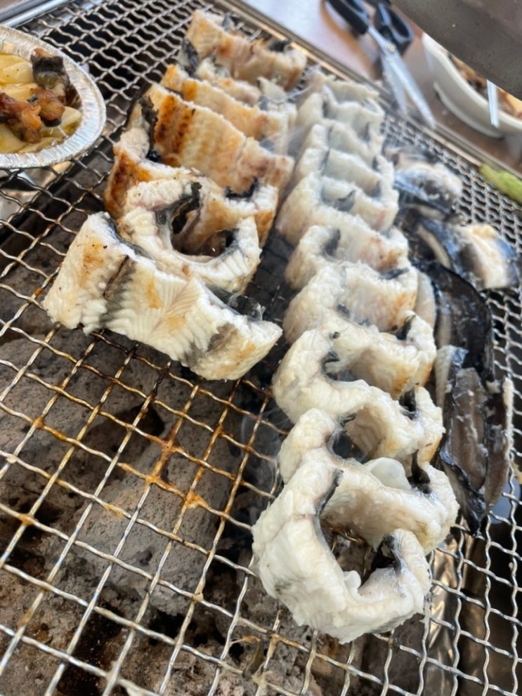  [평택 장어 맛집] "거대장어" 방문 후기｜가정의 달 5월, 부모님과 외식(주문 방법 & 방문 정보 총정리)