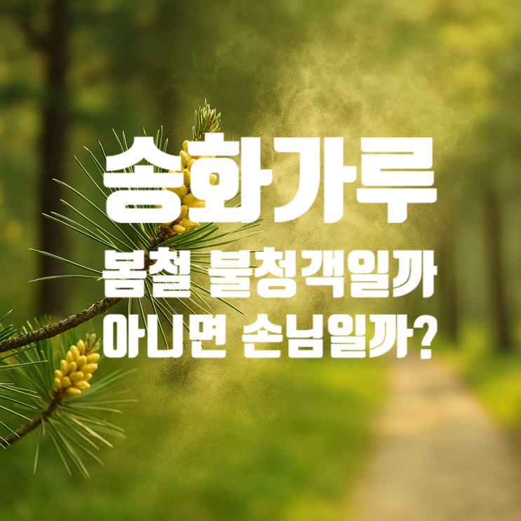  송화가루 효능 성분 부작용 총정리 – 기력 회복부터 알레르기까지