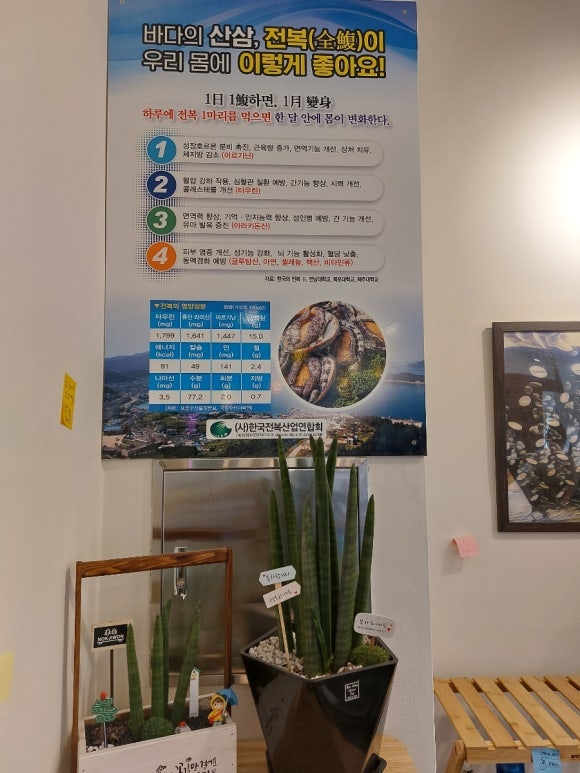 전복에꼬치다 사진 4