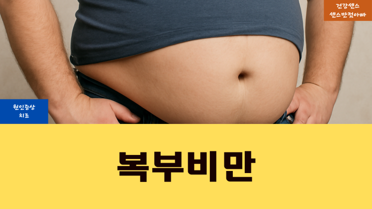  복부 비만 원인 증상 및 치료