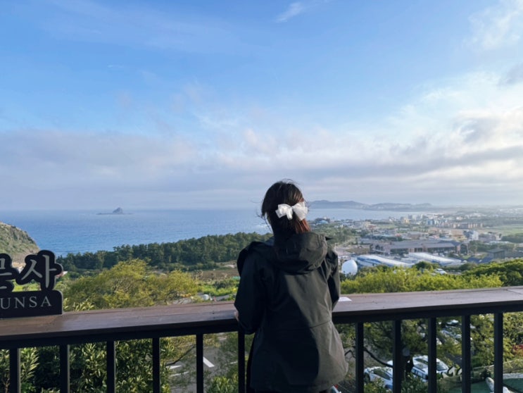 <b>양주</b> 옥정에서 김포<b>공항</b> <b>인천공항</b> 가는 방법 미터기 <b>공항</b>택시... 