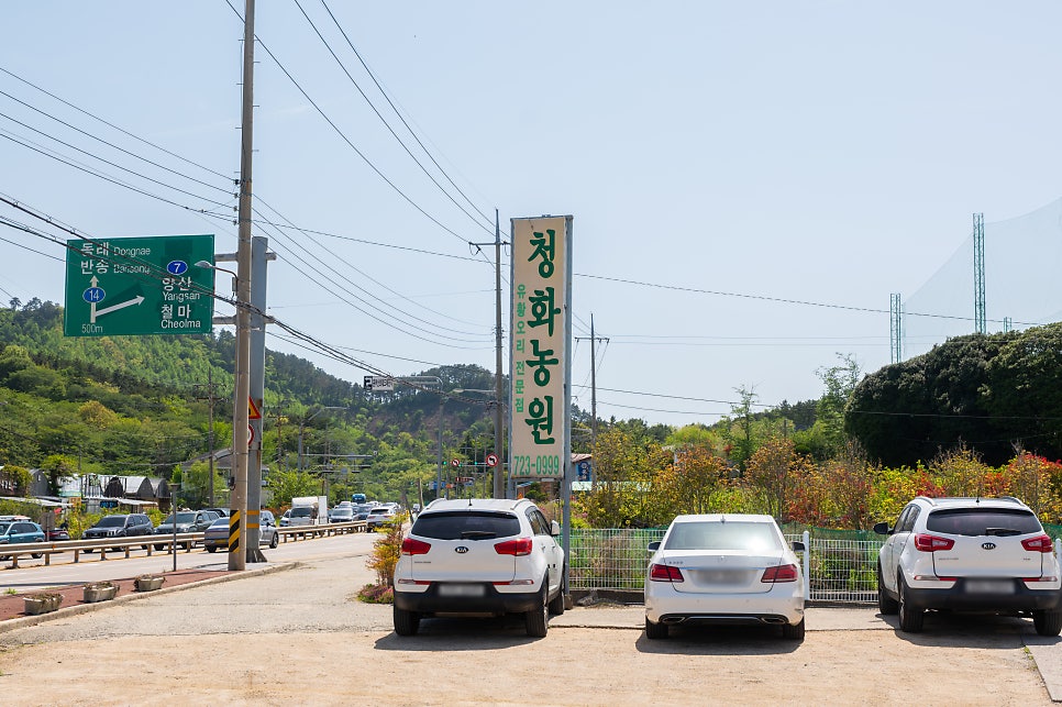 청화농원 사진 2