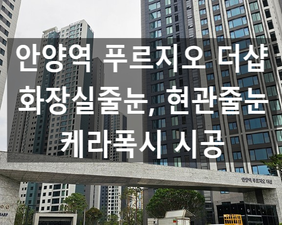  안양줄눈 안양역푸르지오더샵 화장실 현관 케라폭시 시공 사례