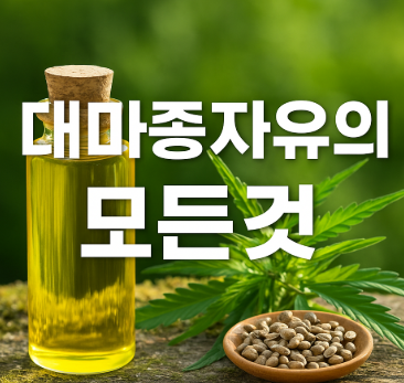  대마종자유 효능, 부작용, 먹는 법 총정리!