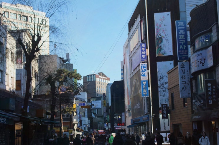  인사동의 특별한 도넛, 종로카페도넛 하이말똥 인사동에서 즐기다