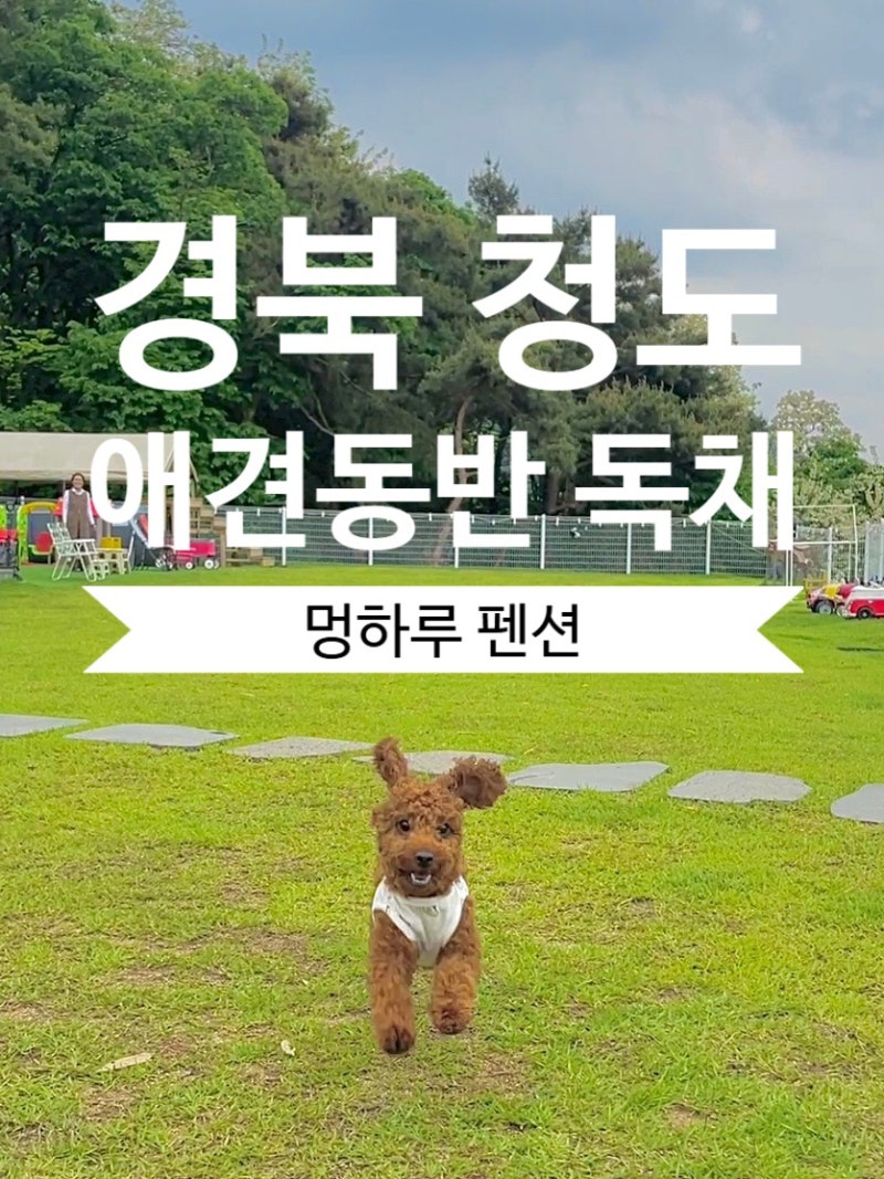 사진 14