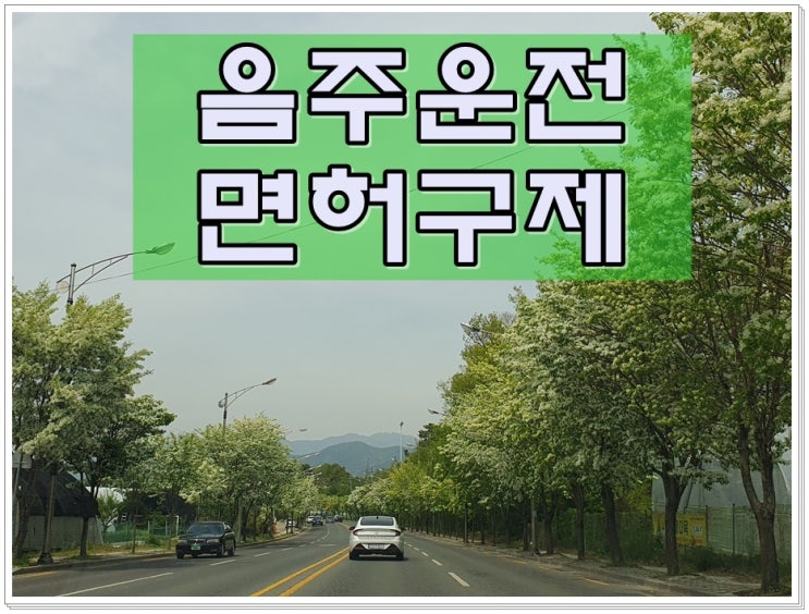  혈중알콜농도 0.045% 음주운전 이진아웃 면허취소 결격 기간 2년