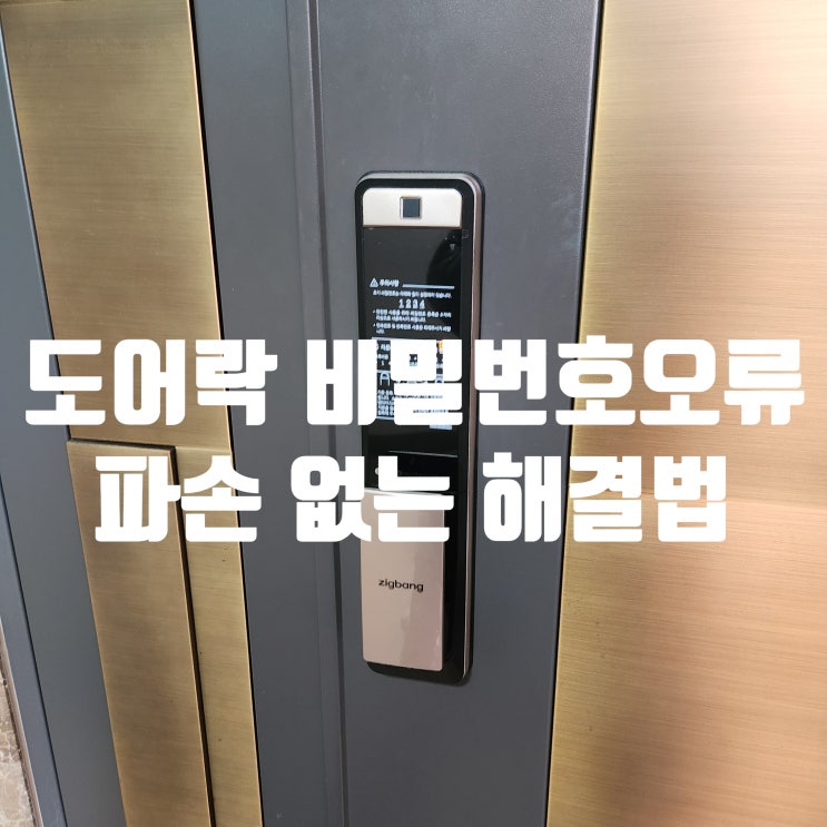  일산 도어락 비밀번호 오류 잠겼을때 잠김 해제 파손 없이 열기