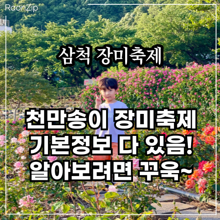  삼척 장미축제 알아야 할 것들 기본정보 일정 주차 불꽃놀이 총정리