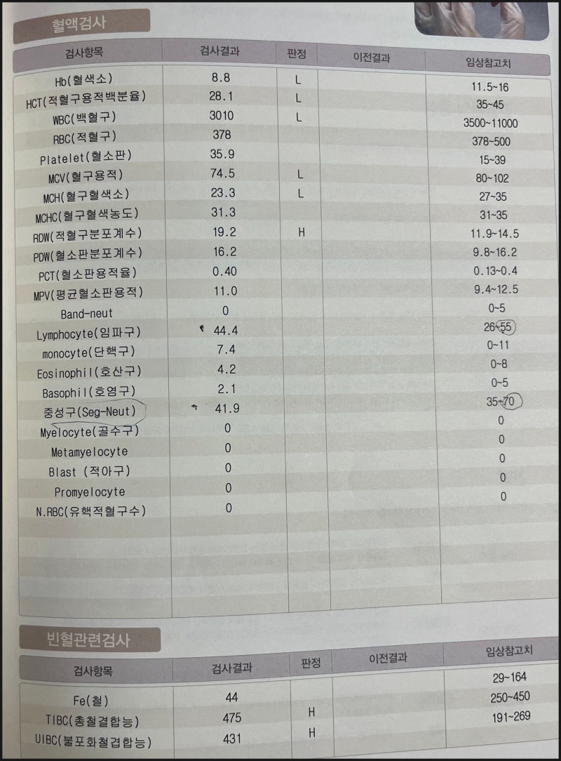 희귀질환 재생불량성 빈혈 6년차 내가 겪은 증상과 극복기