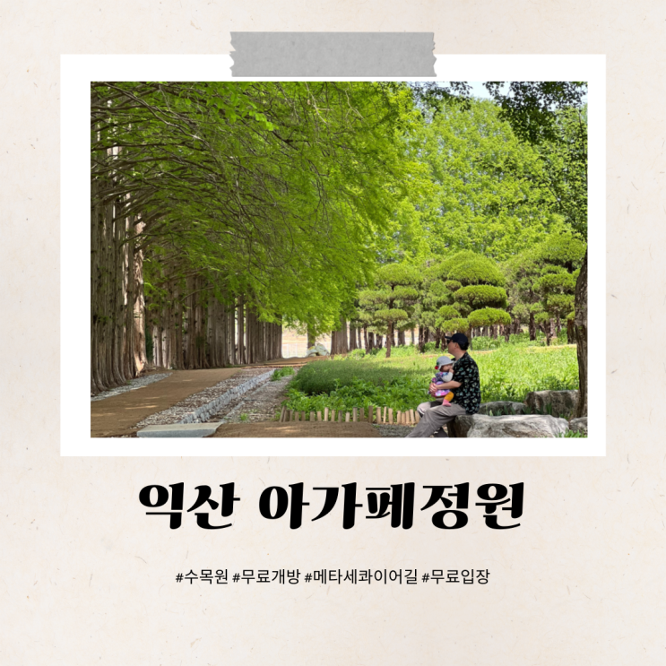  익산 꽃구경 명소 아가페정원에서 보낸 초록빛 하루