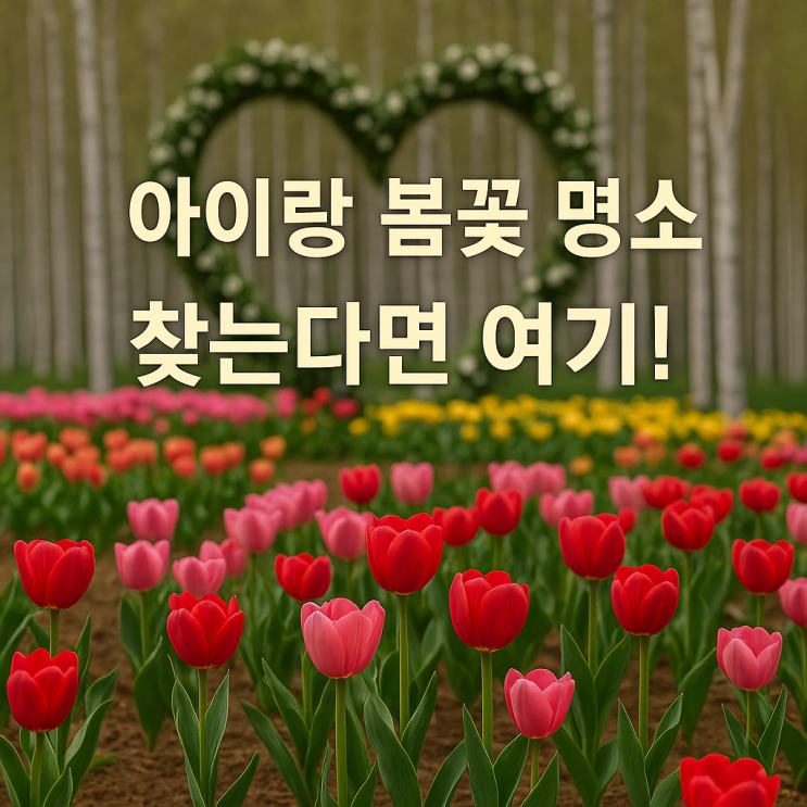  2025년 봄꽃축제 모음｜아이랑 가기 좋은 용인 자작나무숲 정리