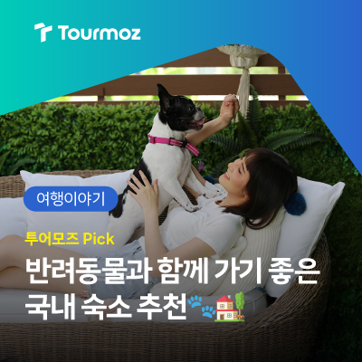  반려동물과 함께하는 국내 추천 숙소 리스트