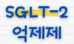  SGLT-2 억제제란?혈당 조절부터 심장·신장 보호까지 가능한 당뇨병 치료제