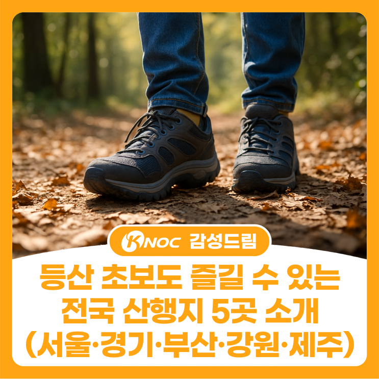  등산 초보도 즐길 수 있는 전국 산행지 5곳 소개(서울·경기·부산·강원·제주)