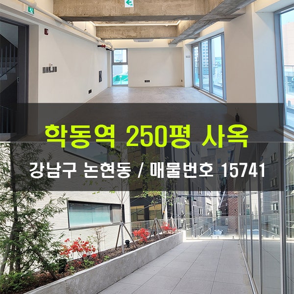  학동역 사옥 임대 250평 법인사옥 엔터사옥 디자인 빌딩