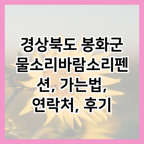 물소리바람소리 사진 1