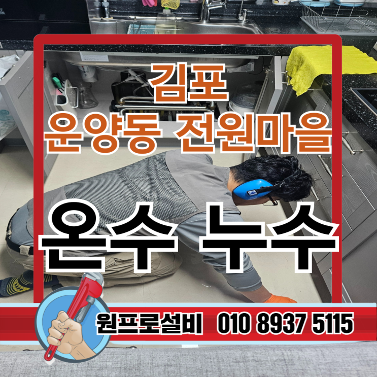  운양동 전원마을 월드메르디앙 아파트 누수