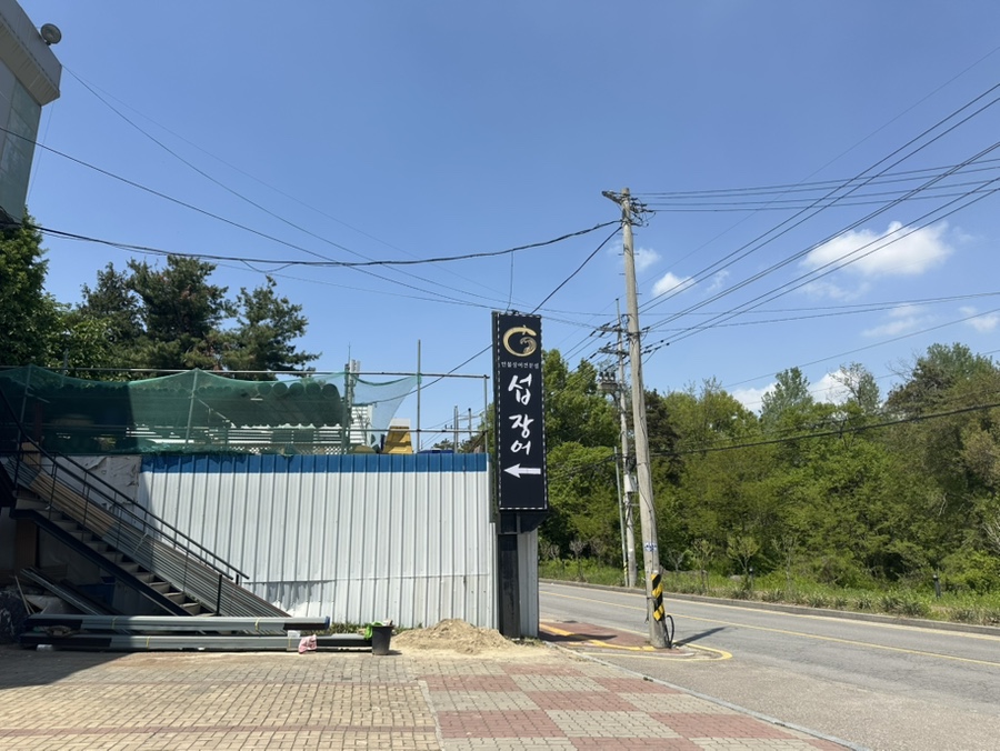 섭장어 사진 3