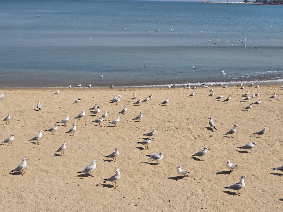 해림장횟집 사진 4