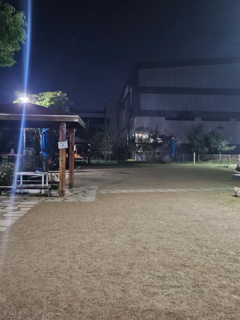 사진 4