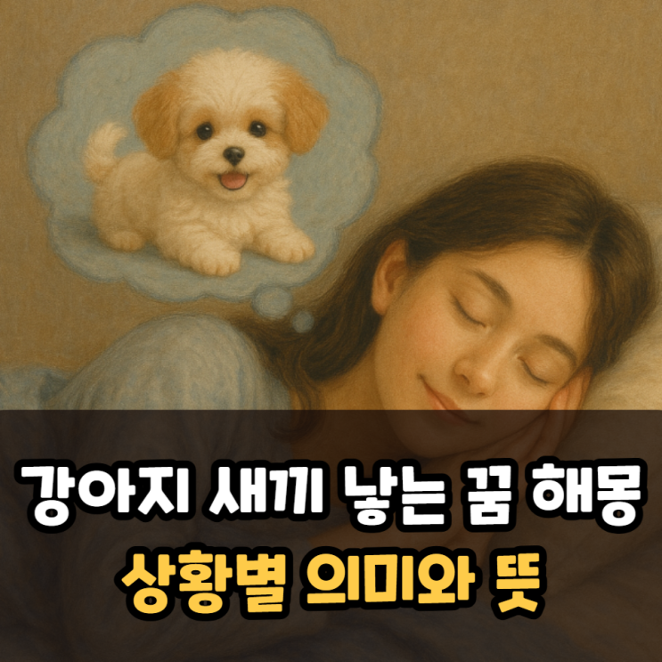  강아지 새끼 낳는꿈 해몽