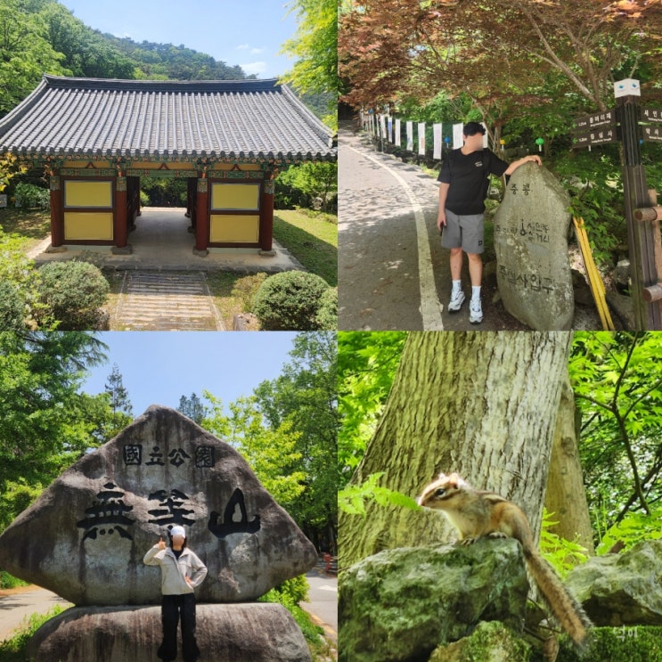  광주 무등산 증심사 걷기좋은 산책 코스 주말 가볼만한곳