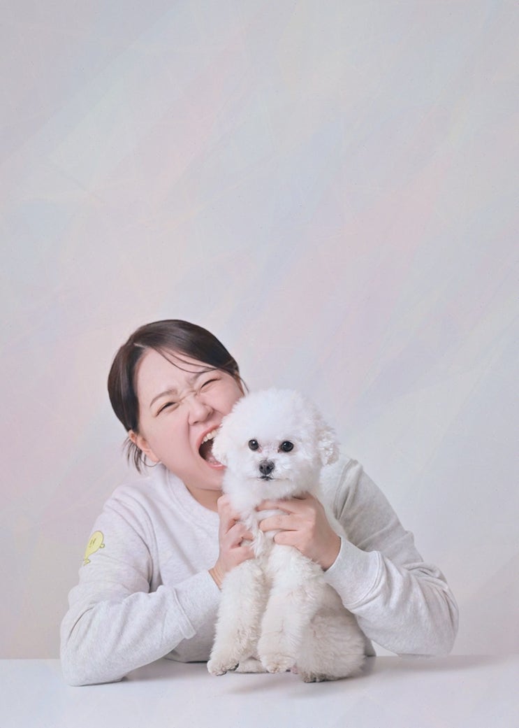  [대구애견카페 리뷰] 해피쉼표데이, 반려견과 행복한 시간을 보내세요