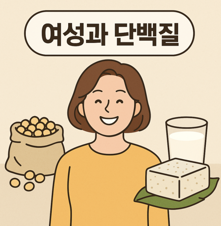  폐경기 여성 필수 영양소 단백질_두부, 두유, 콩 단백질로 건강 챙기기_식물성 에스트로겐 총정리