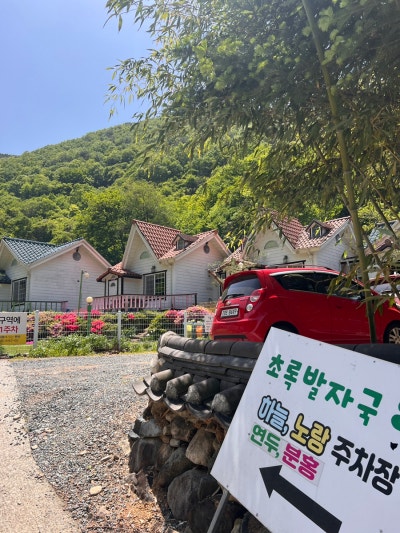 사진 2