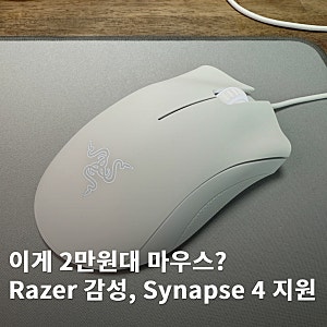 화이트 감성과 Razer 소프트웨어를 동시에, 레이저 데스에더 에센셜 유선 마우스 리뷰