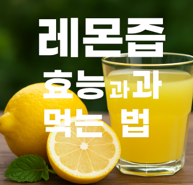  레몬즙 효능, 먹는법 총정리!아침 한잔이 건강을 바꾼다^^