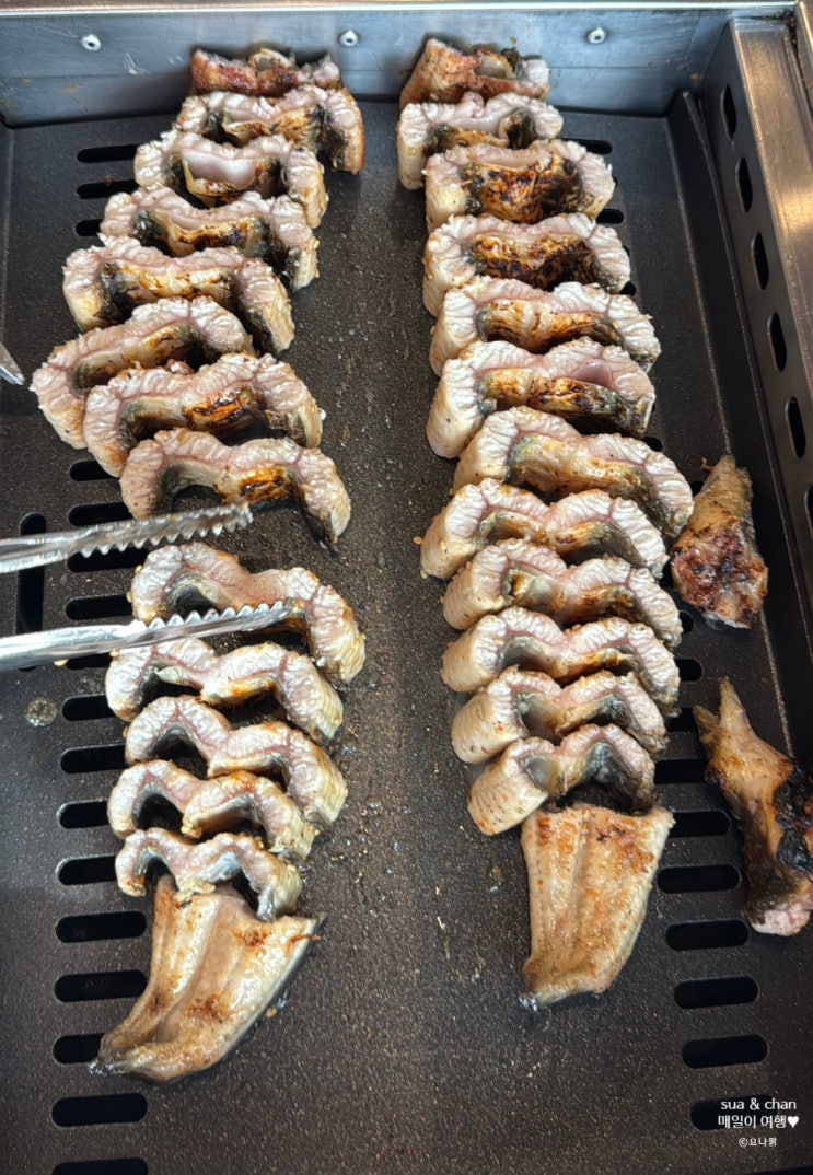  파주 임진각 장어 맛집 장어명가지중해 파주 장어맛집으로 추천