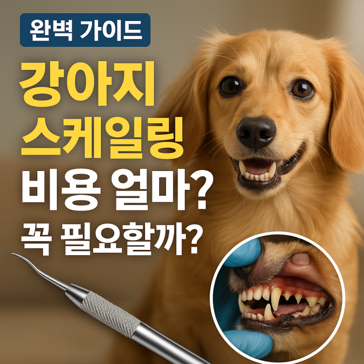  강아지 스케일링 비용 얼마? 꼭 필요할까? [완벽 가이드]