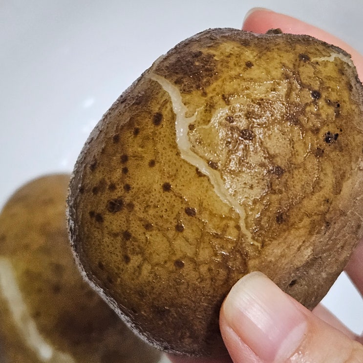  다이어트할때 먹기좋은 맛있는 감자 추천 포실포실 분나는 시골집농원 감자