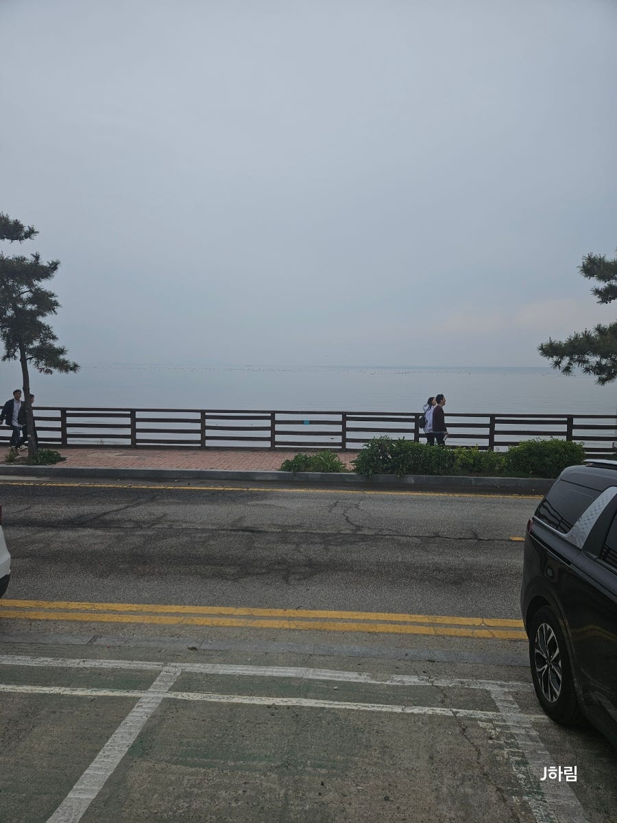 BBQ 올리브카페제부도점 사진 3