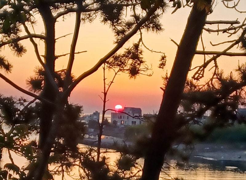 김정훈 탁구레슨