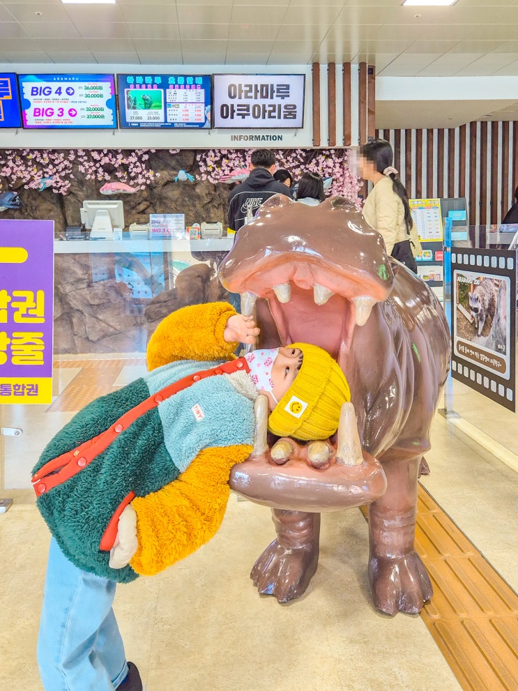  사천 아라마루 아쿠아리움 하마와 할인 및 주차정보