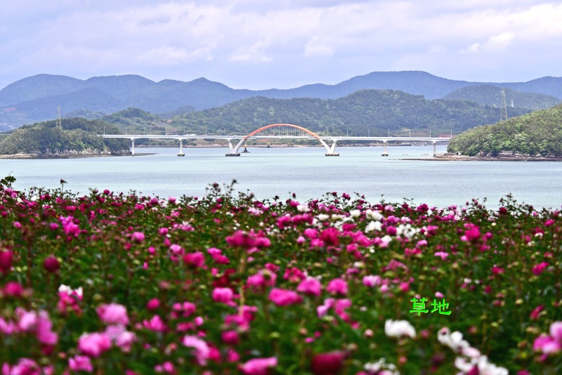 사진 4